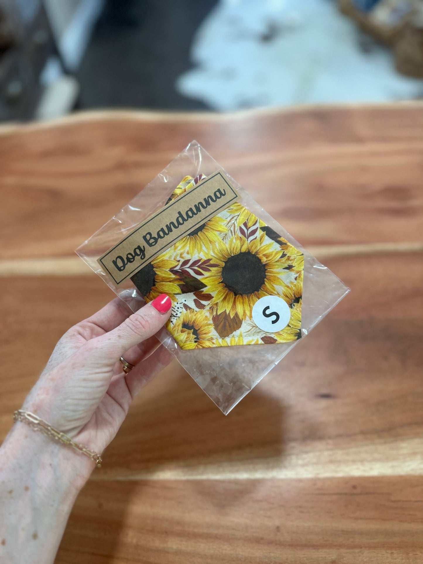 Dog Bandanna - Texas Front Porch