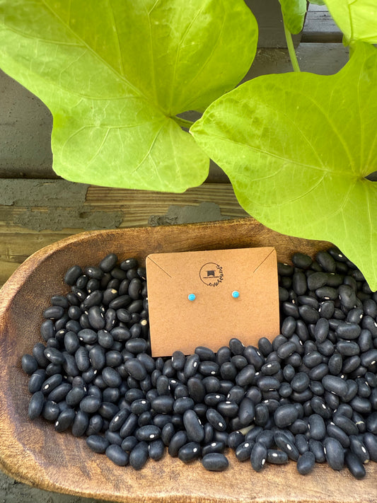 Darling Genuine Turquoise Stud