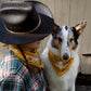 Western Bandana - Texas Front Porch