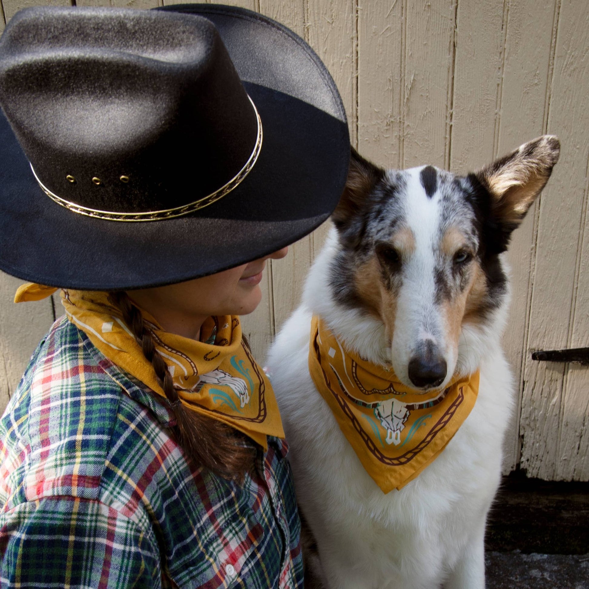 Western Bandana - Texas Front Porch
